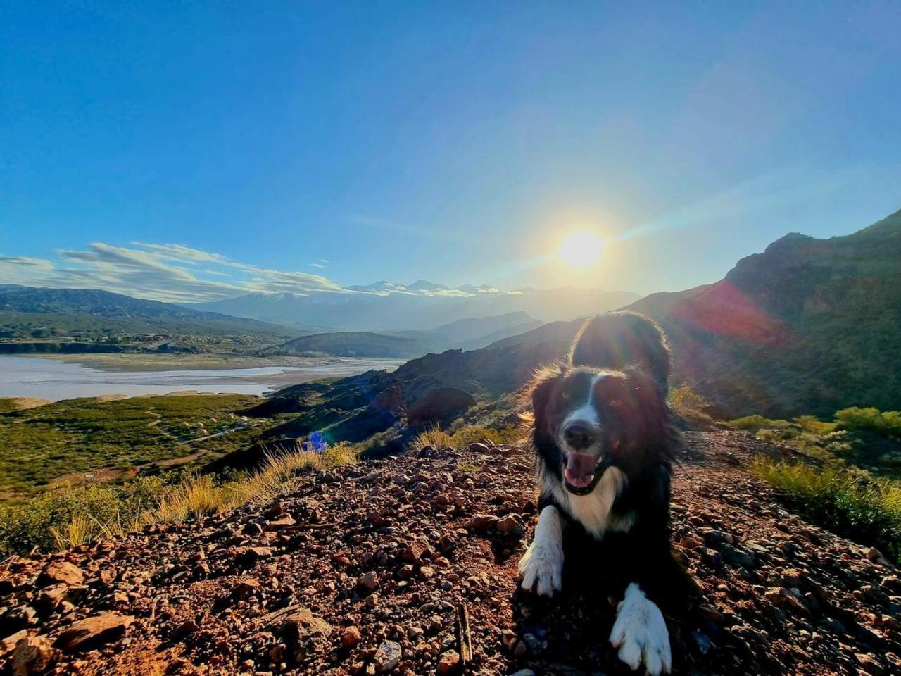 El Nido Domos * Mendoza